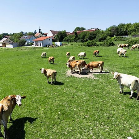 Wo Sich Kuh, Fuchs Und Hase Gute Nacht Sagen Wolfsegg Exterior foto